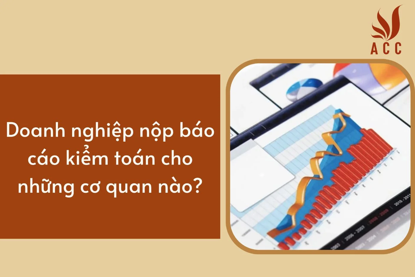 Doanh nghiệp nộp báo cáo kiểm toán cho những cơ quan nào?