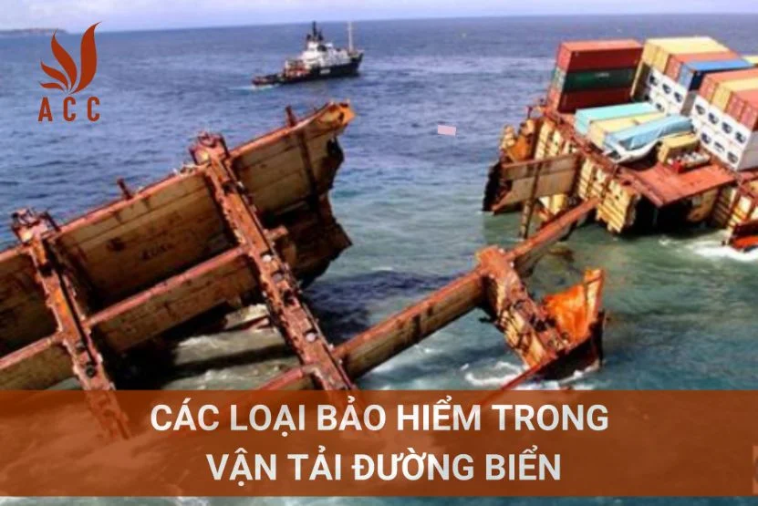 Các loại bảo hiểm trong vận tải đường biển