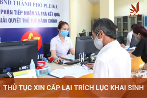 cap-lai-trich-luc-giay-khai-sinh