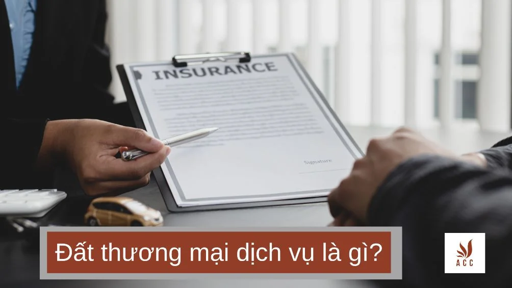 đất thương mại dịch vụ