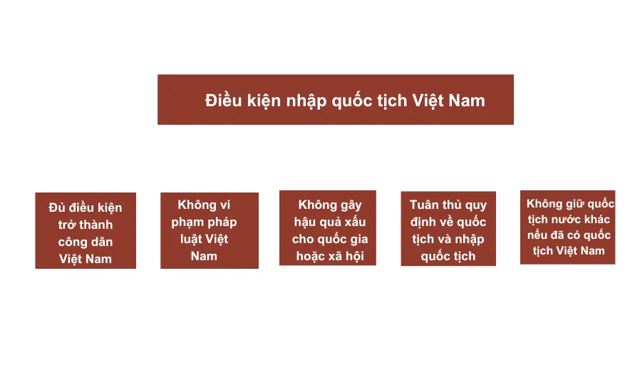 Điều kiện nhập quốc tịch Việt Nam