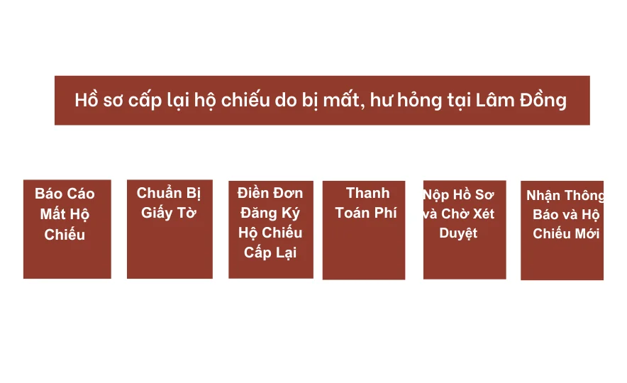 Hồ sơ cấp lại hộ chiếu do bị mất, hư hỏng tại Lâm Đồng