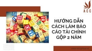 huong-dan-cach-lam-bao-cao-tai-chinh-gop-2-nam