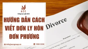 huong-dan-cach-viet-don-ly-hon-don-phuong