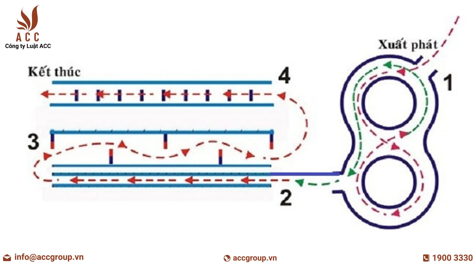 Hướng Dẫn Chi Tiết Chạy Vòng Số 8