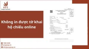 khong-in-duoc-to-khai-ho-chieu-online