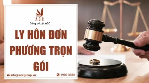 ly-hon-don-phuong-tron-goi