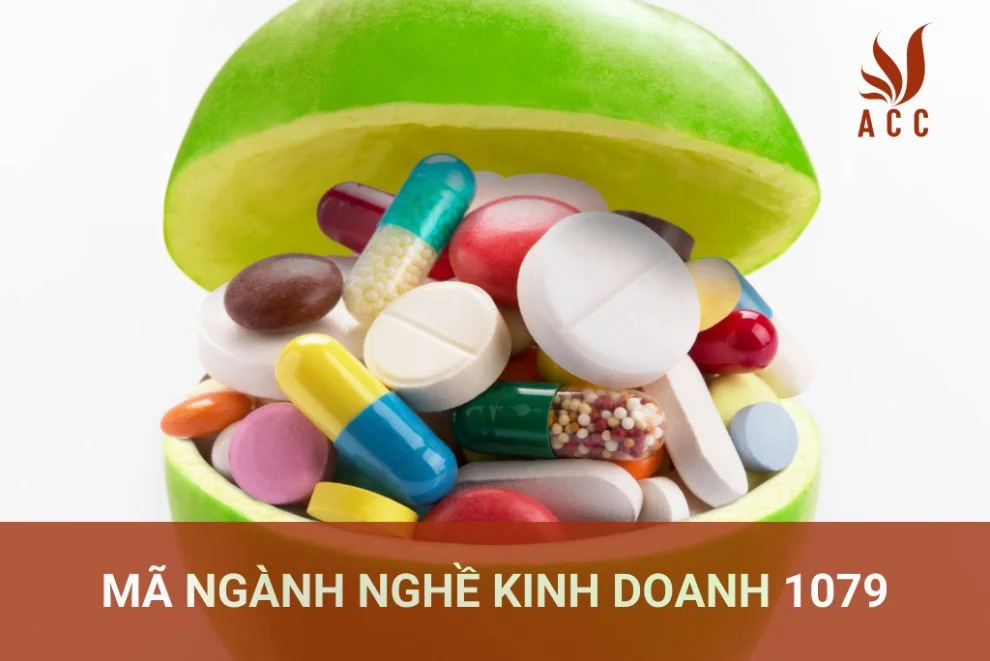 Mã ngành nghề kinh doanh 1079