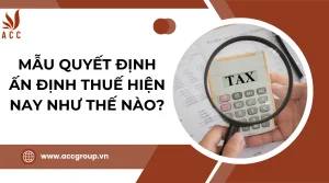 mau-quyet-dinh-an-dinh-thue-hien-nay-nhu-the-nao