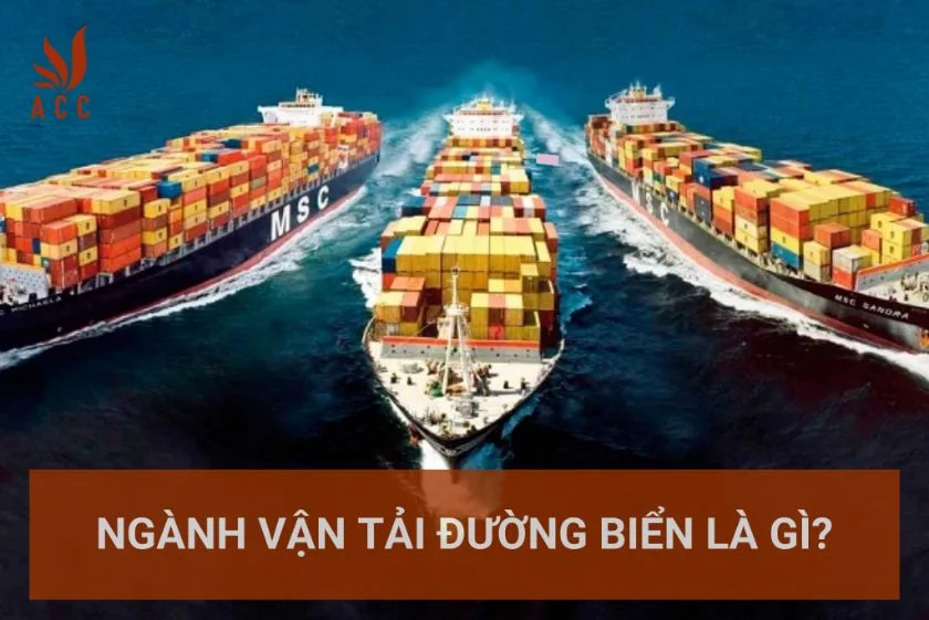Ngành vận tải đường biển là gì?