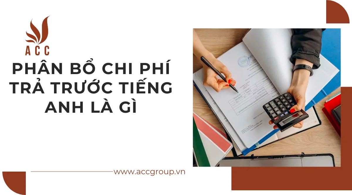 Phân bổ chi phí trả trước tiếng anh là gì