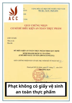 phat-khong-co-giay-ve-sinh-an-toan-thuc-pham