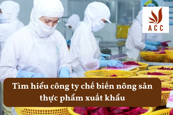 Tìm hiểu công ty chế biến nông sản thực phẩm xuất khẩu