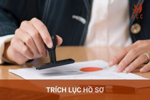 trich-luc-ho-so-1