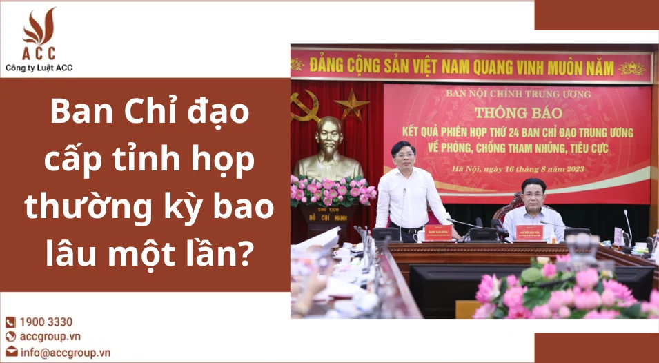 Ban Chỉ đạo cấp tỉnh họp thường kỳ bao lâu một lần?