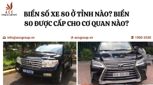 bien-so-xe-80-o-tinh-nao-bien-80-duoc-cap-cho-co-quan-nao