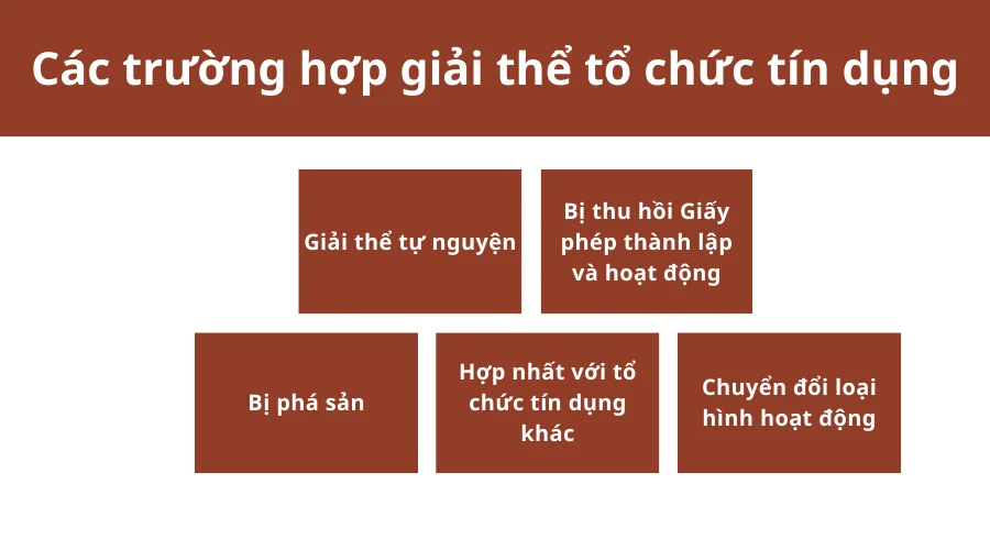 cac-truong-hop-giai-the-to-chuc-tin-dung