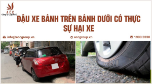 dau-xe-banh-tren-banh-duoi-co-thuc-su-hai-xe