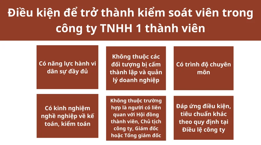 dieu-kien-de-tro-thanh-kiem-soat-vien-trong-cong-ty-tnhh-1-thanh-vien