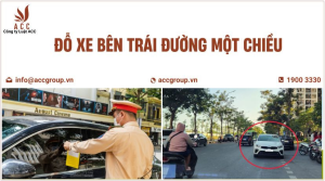 do-xe-ben-trai-duong-mot-chieu-nghi-dinh-100