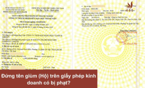 dung-ten-gium-ho-tren-giay-phep-kinh-doanh-co-bi-phat-1