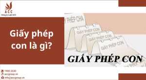 giay-phep-con-la-gi