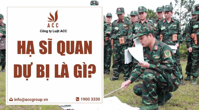 Hạ sĩ quan dự bị là gì?