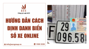 huong-dan-cach-dinh-danh-bien-so-xe-online