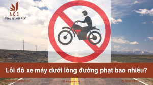 loi-do-xe-may-duoi-long-duong-phat-bao-nhieu