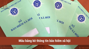 mau-bang-ke-thong-tin-bao-hiem-xa-hoi