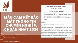 mau-cam-ket-bao-mat-thong-tin-chuyen-nghiep-chuan-nhat-2024