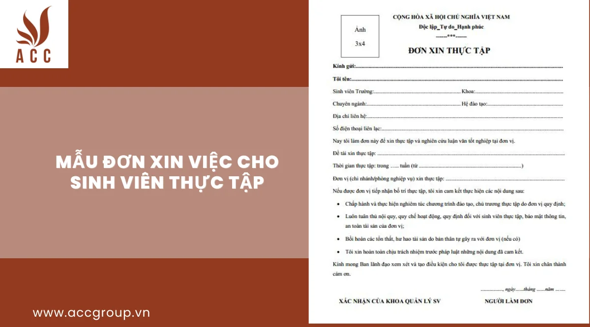 Mẫu đơn xin việc cho sinh viên thực tập