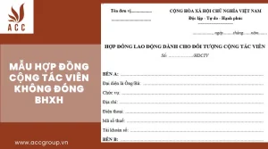 mau-hop-dong-cong-tac-vien-khong-dong-bhxh-2