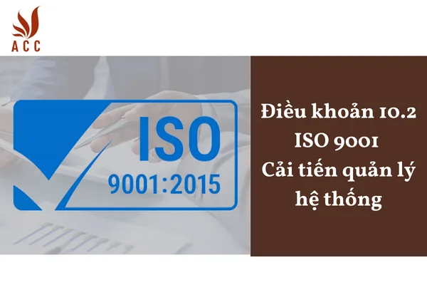 Điều khoản 10.2 ISO 9001 Cải tiến quản lý hệ thống