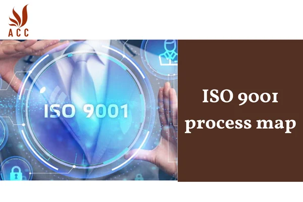 ISO 9001 process map