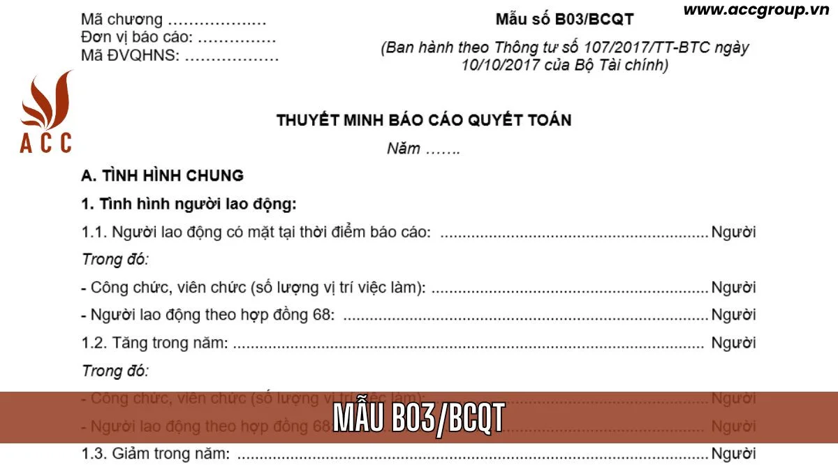 Mẫu thuyết minh báo cáo quyết toán: B03/BCQT