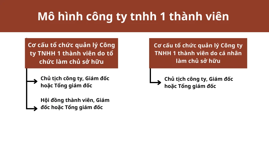 mo-hinh-cong-ty-tnhh-1-thanh-vien-3