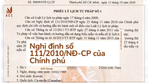 nghi-dinh-so-1112010nd-cp-cua-chinh-phu