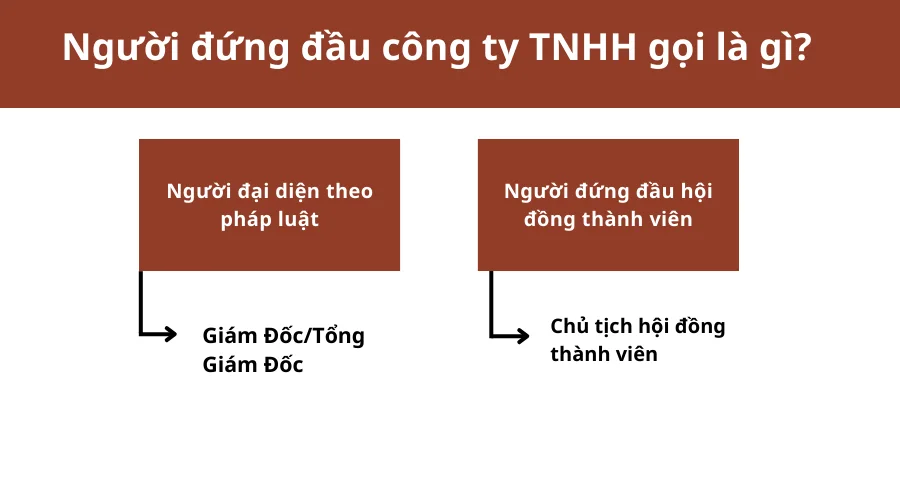 nguoi-dung-dau-cong-ty-tnhh-goi-la-gi-1-1