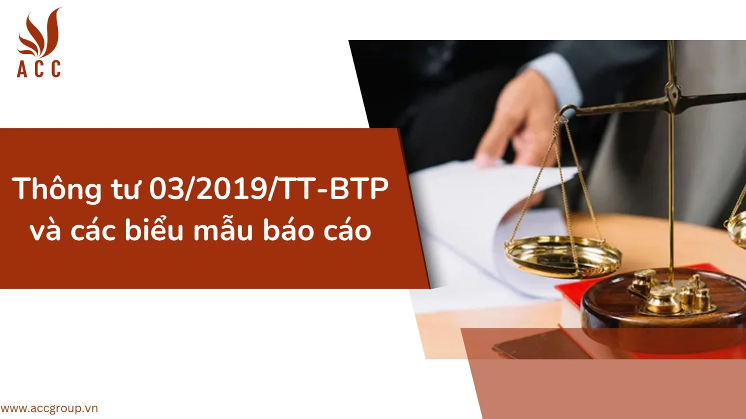 Thông tư 03/2019/TT-BTP và các biểu mẫu báo cáo