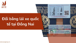 nhu-quynh-80