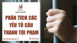 phan-tich-cac-yeu-to-cau-thanh-toi-pham