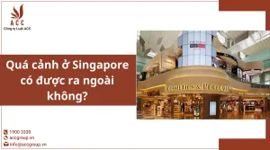 qua-canh-o-singapore-co-duoc-ra-ngoai-khong