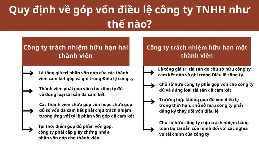 quy-dinh-ve-gop-von-dieu-le-cong-ty-tnhh-nhu-the-nao