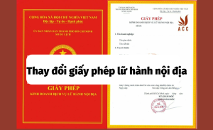 thay-doi-giay-phep-lu-hanh-noi-dia