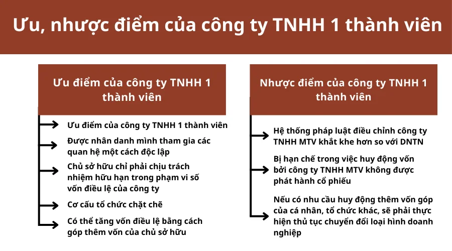 uu-nhuoc-diem-cua-cong-ty-tnhh-1-thanh-vien