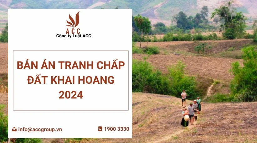 Bản án tranh chấp đất khai hoang 2024