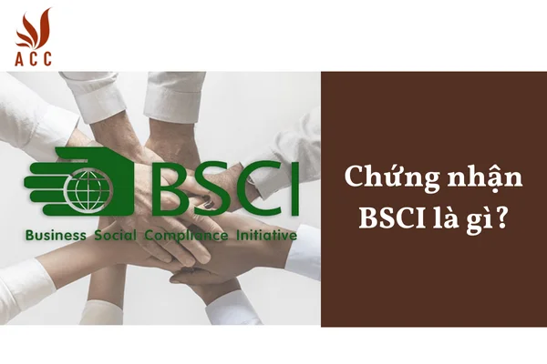 Chứng nhận BSCI là gì?