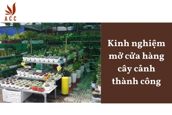 Kinh nghiệm mở cửa hàng cây cảnh thành công