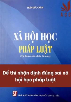 de-thi-nhan-dinh-dung-sai-xa-hoi-hoc-phap-luat